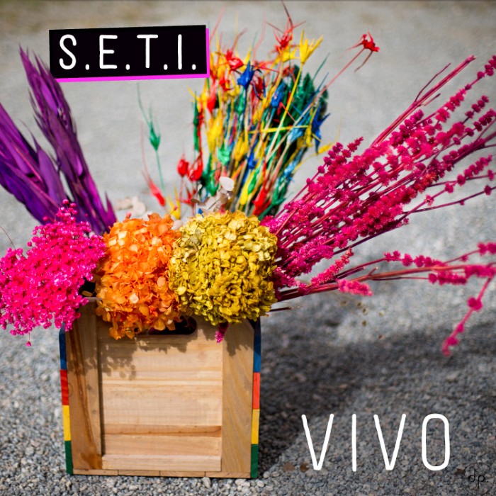 S.E.T.I. - Vivo
